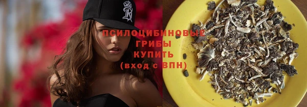 мяу мяу мука Алексеевка