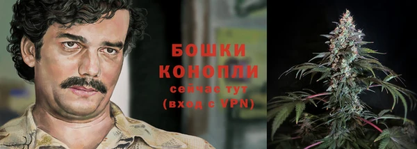PSILOCYBIN Алзамай