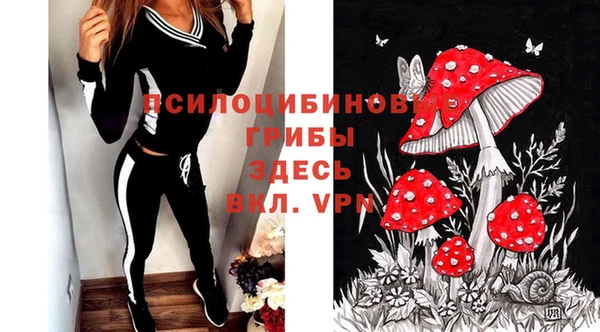 мяу мяу мука Алексеевка