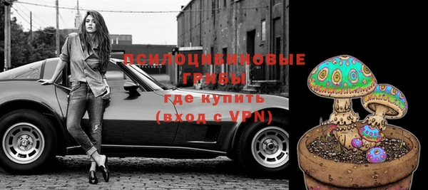 PSILOCYBIN Алзамай