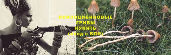 мяу мяу мука Алексеевка