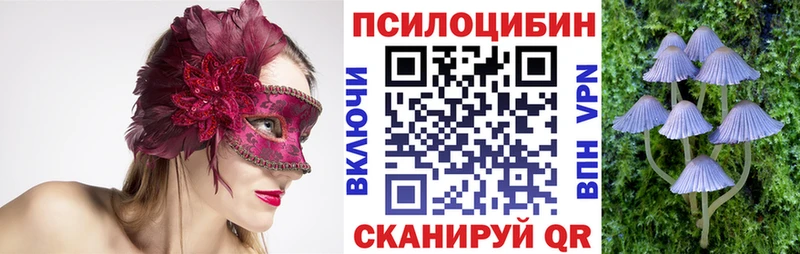 Купить где  Теберда  Галлюциногенные грибы MAGIC MUSHROOMS 
